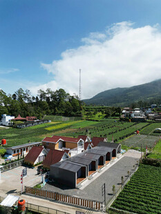 田园村落风光