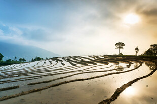 夕阳下的美丽梯田风光