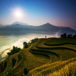 山间梯田日出美景