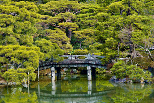 日式园林中的古朴桥景
