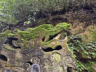 青苔覆盖的古老石雕景观