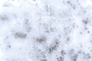 冬日雪景中的霜花纹理
