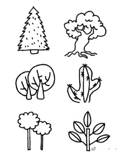 手绘动植物简笔画集合