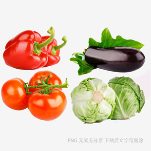 新鲜多彩蔬菜组合
