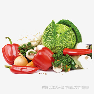 多彩新鲜蔬菜组合