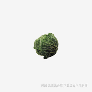 一颗新鲜的绿色卷心菜
