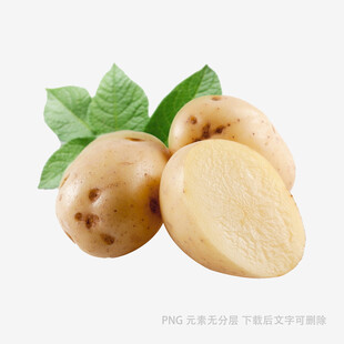 新鲜土豆带叶展示