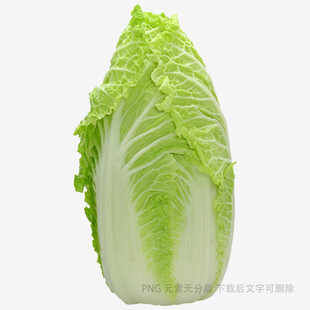 新鲜大白菜