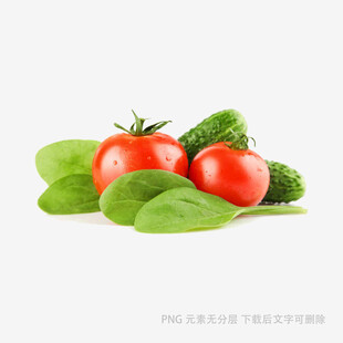 新鲜番茄黄瓜与绿叶蔬菜