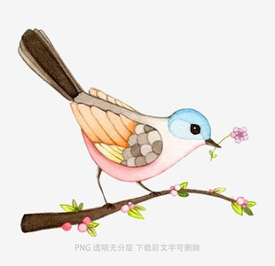 枝头小鸟衔花图