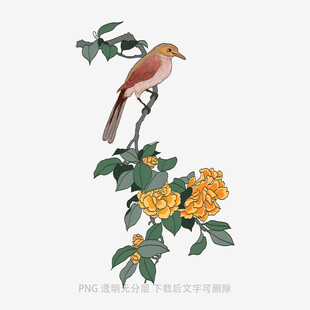 枝头小鸟伴繁花