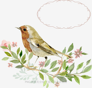 枝头小鸟与花卉插画