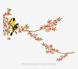 枝头双鸟伴繁花