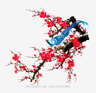 红梅枝头飘带舞