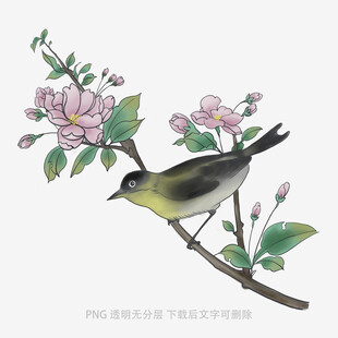 枝头小鸟伴繁花