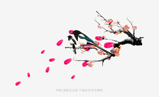 飘落的桃花枝