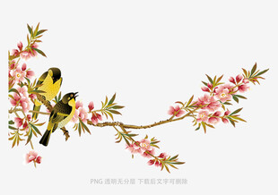 枝头双鸟伴繁花