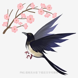 喜鹊赏樱图