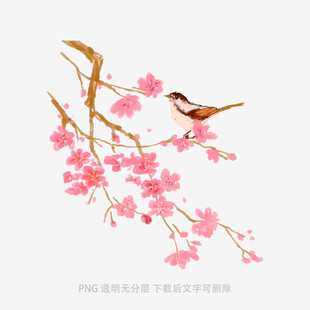 枝头双鸟伴繁花
