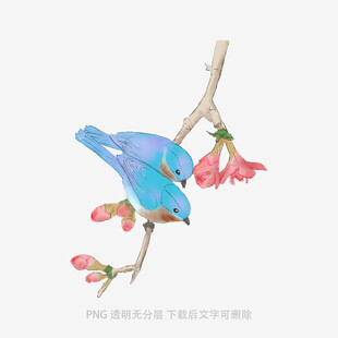 蓝鸟栖花枝