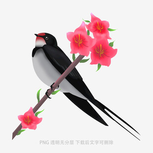 燕子栖于繁花枝头