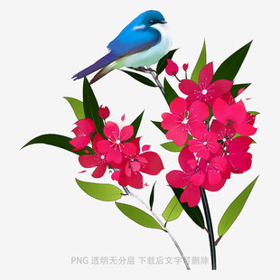蓝鸟栖于艳丽花枝间