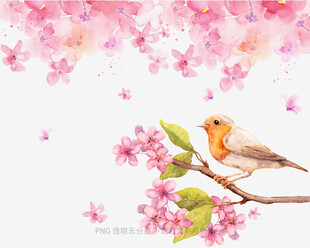 樱花枝上的小鸟