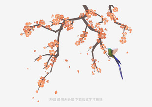 枝头繁花伴飞鸟