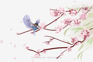枝头飞鸟伴繁花