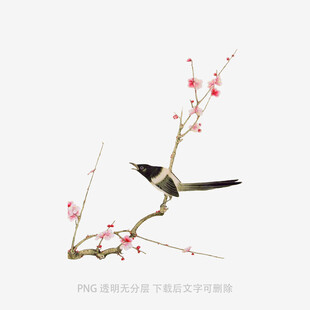 枝头鹊立红梅相伴