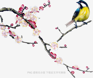 枝头小鸟赏绽放梅花