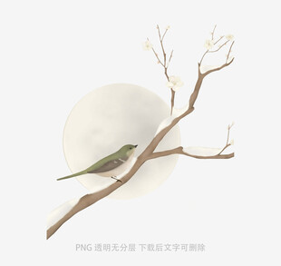 枝头小鸟伴月静谧景象