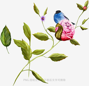 花鸟相依图