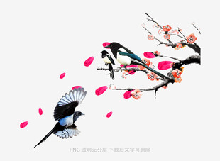 花鸟