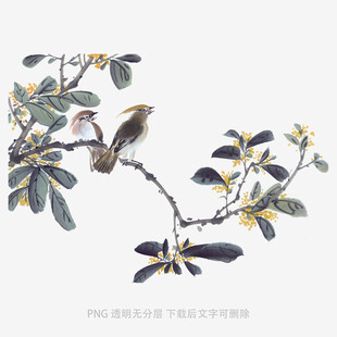 枝头双鸟图