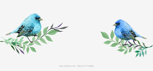 枝头双蓝鸟