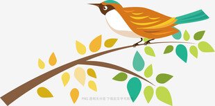 枝头小鸟