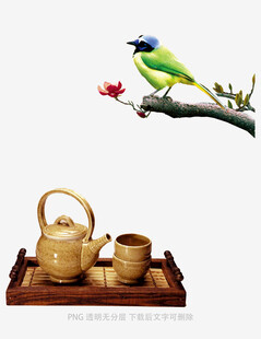 翠鸟伴茶具雅致中式风情