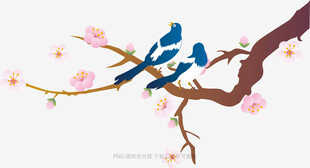 枝头双鸟伴繁花