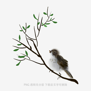 枝头小鸟图