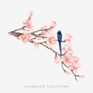 枝头双鸟伴繁花