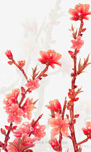 娇艳桃花枝