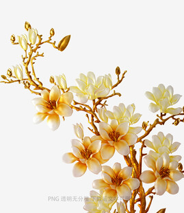 玉兰花枝装饰图