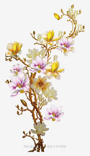 玉兰花枝上的灵动小鸟