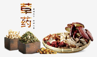 传统草药展示