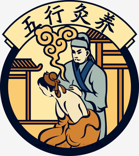 传统五行灸养场景图