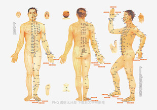 人体经络穴位示意图