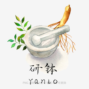 传统研钵与新鲜人参