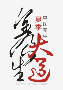 中医养生大字书法艺术