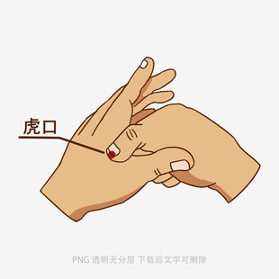 虎口位置示意